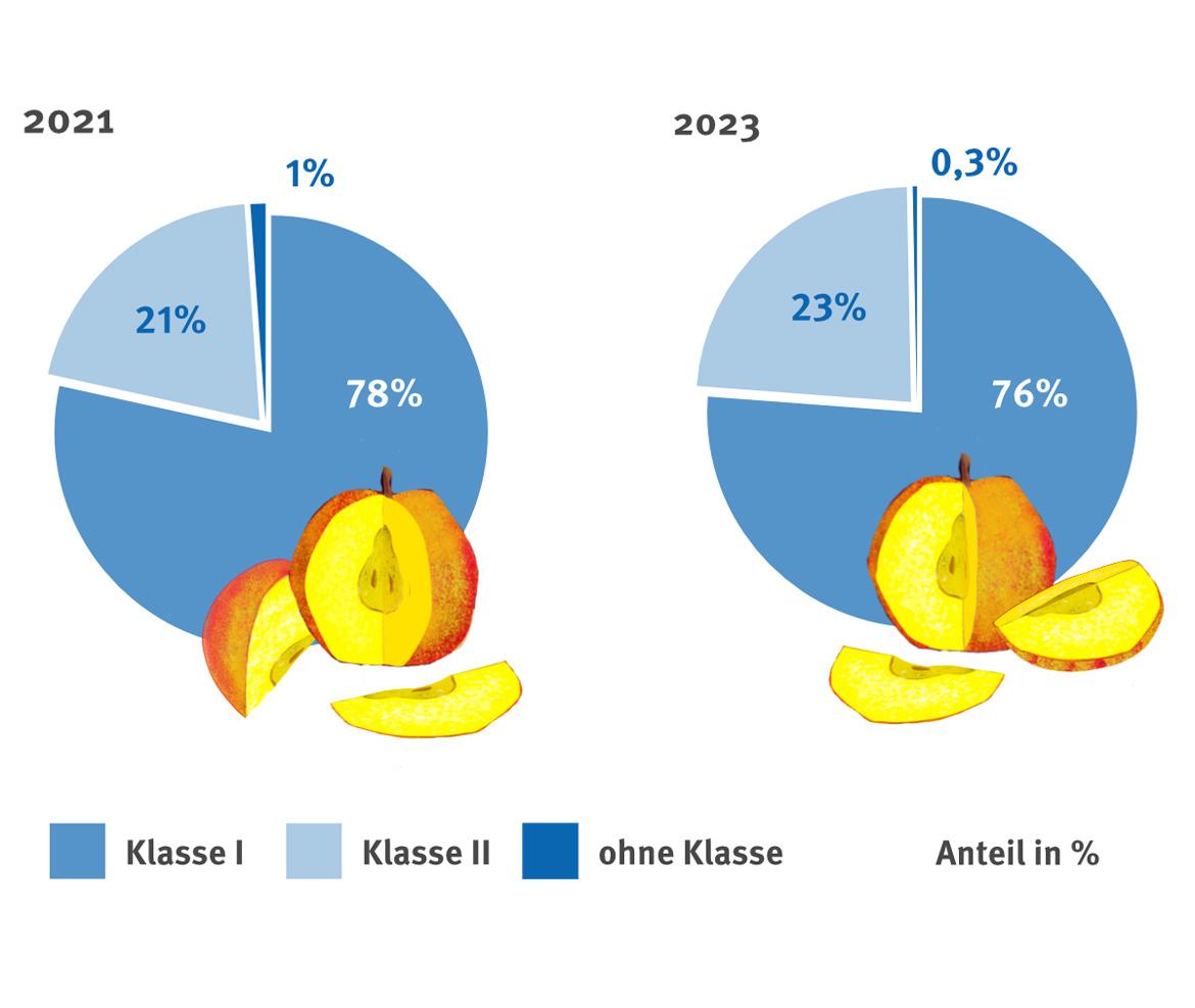 Grafik Äpfel im Supermarkt Verteilung nach Klassen