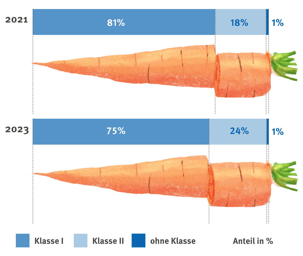 Grafik Vergleich Möhren Verteilung nach Klassen