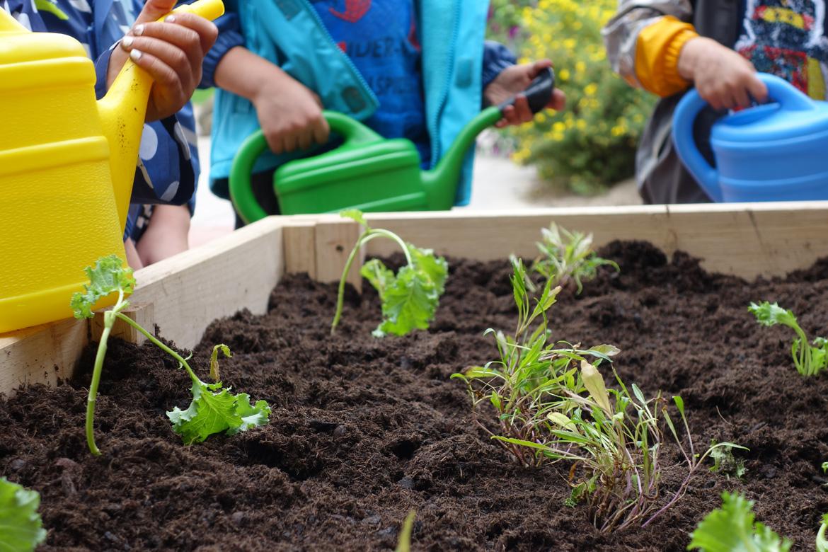 Kinder gießen Pflanzen, Ackerhelden