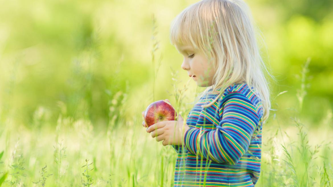 Kleinkind mit Apfel auf Wiese