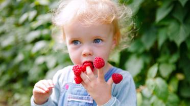 Kindergartenking im Garten mit Himbeeren auf Fingern