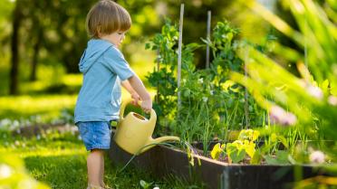 Kind gießt Gemüse im Garten