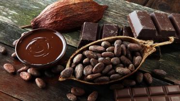 Stillleben Kakao Schokolade Kakaobohnen