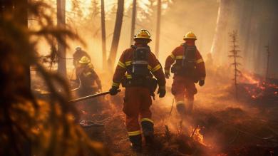 Waldbrand, Feuerwehr