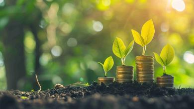 Geld wächst in der grünen Natur