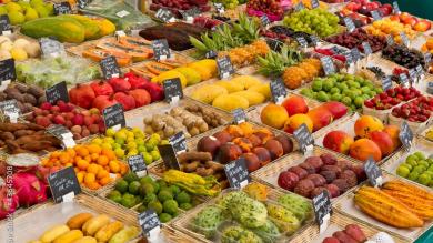 Obst und Gemüse der Saison