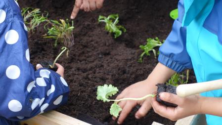 Kinder bepflanzen Hochbeet - Ackerhelden