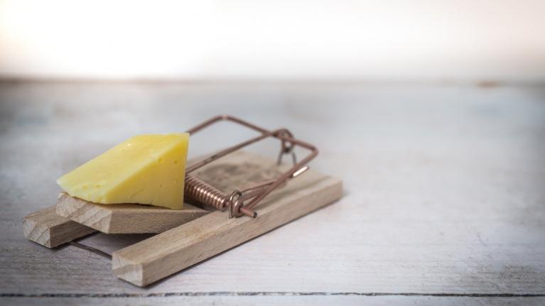 Käse in Mausefalle