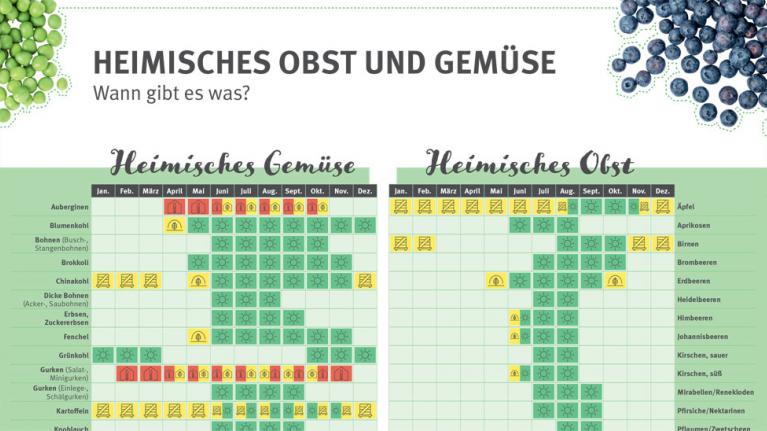 Auszug Saisonkalender Obst und Gemüse