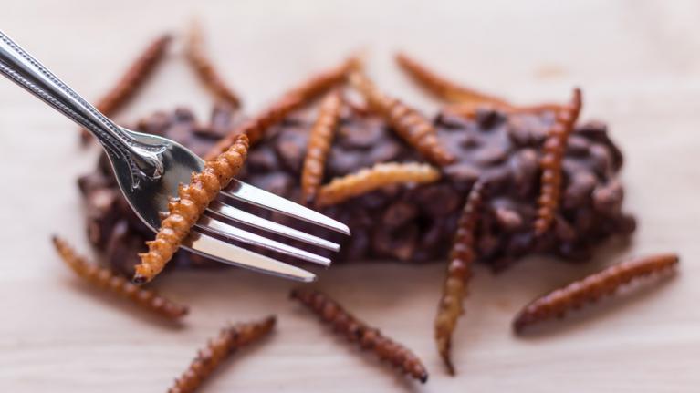 Insekten essen: Marktcheck der Verbraucherzentralen deckt Mängel auf