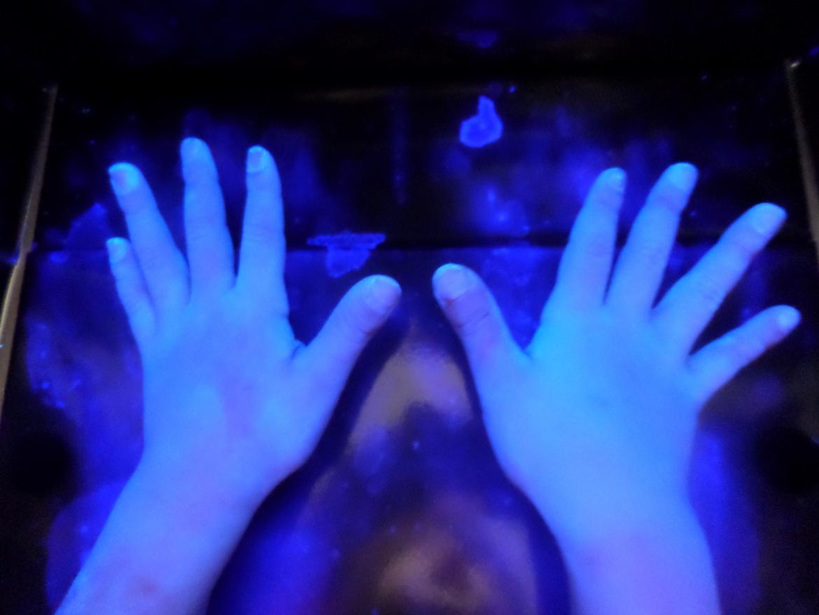 Hände unter Schwarzlicht, Bakterien sichtbar gemacht