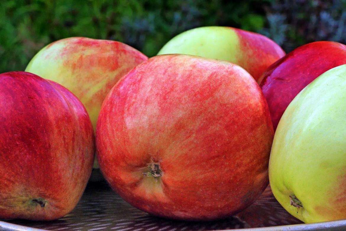 Nahaufnahme Äpfel zu Lebensmittelwertschätzung