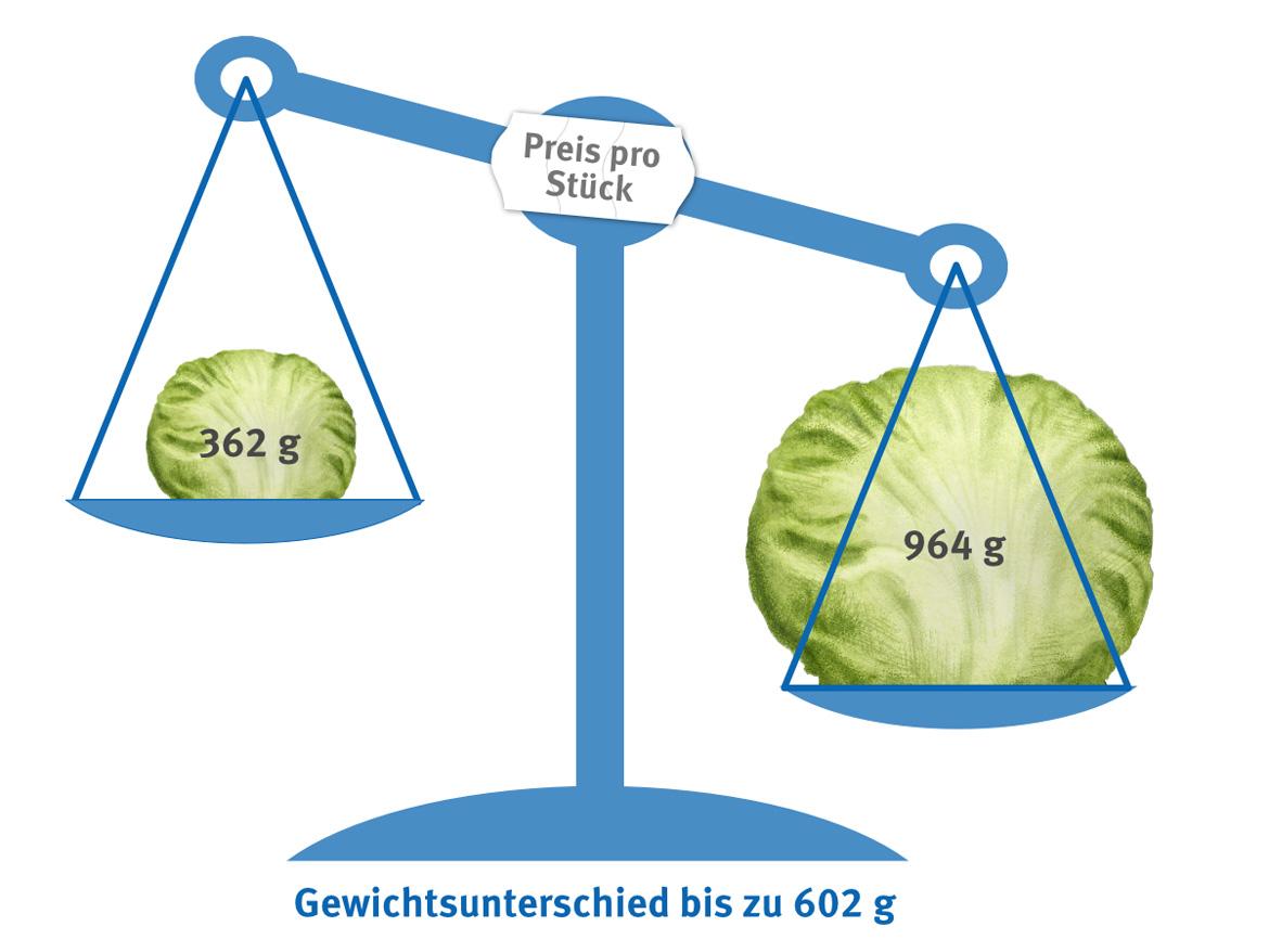 Zwei Eisbergsalate unterschiedlicher Größe auf Waage