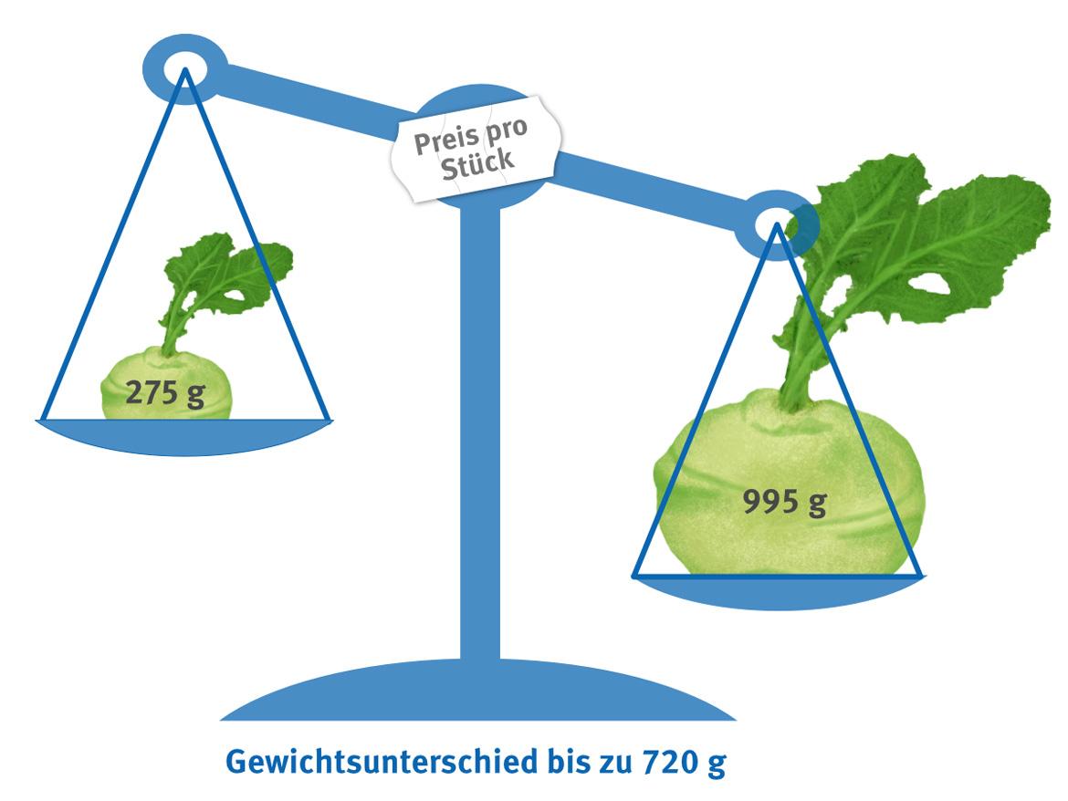 Zwei unterschiedlich große Kohlrabi auf Waage