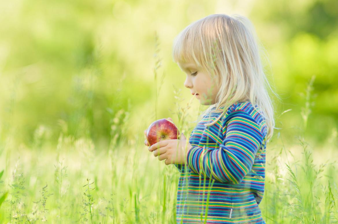 Kleinkind mit Apfel auf Wiese