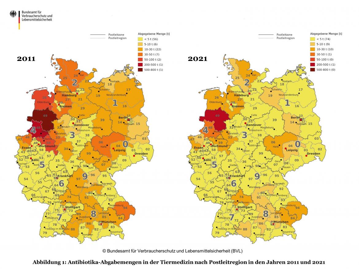 Regionale Zuordnung der Antibiotika-Abgabemengen 2011 und 2021