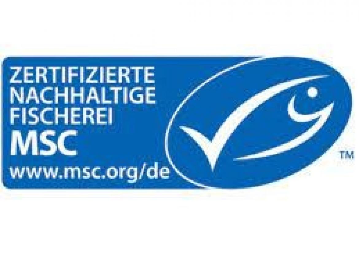 MSC Siegel Logo Fisch