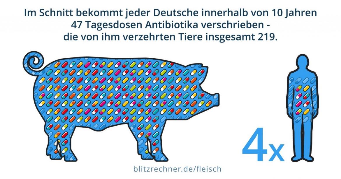 Grafik Schwein Antibiotikaeinsatz