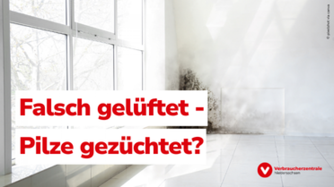 Falsch gelüftet - Pilze gezüchtet?