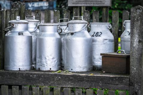 Infektionsgefahr - Rohmilch immer abkochen