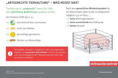 Factsheet artgerechte Tierhaltung