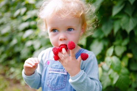 Kindergartenking im Garten mit Himbeeren auf Fingern