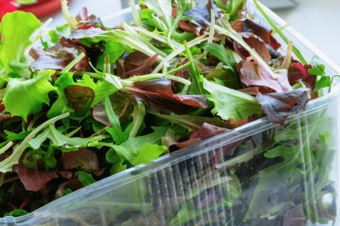 Abgepackter Salat Keime