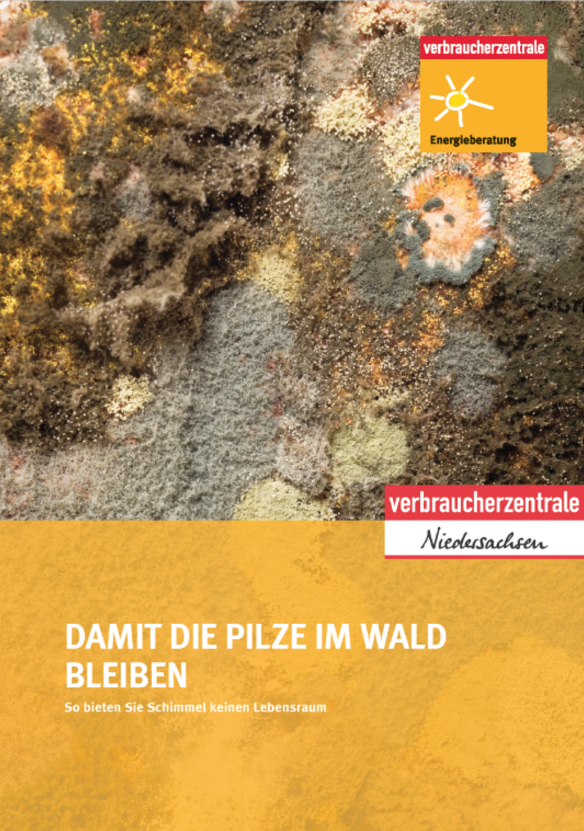 Broschüre: Damit die Pilze im Wald bleiben